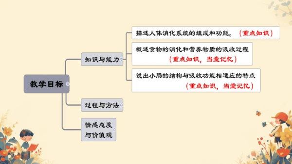 人教版（新课程标准）七年级下册4.2.2 消化和吸收课件(共22张PPT)