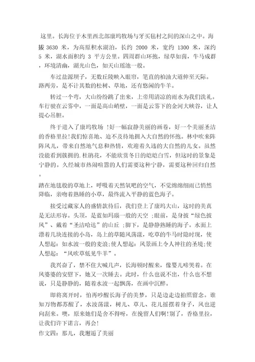 邂逅美丽的初中作文600字