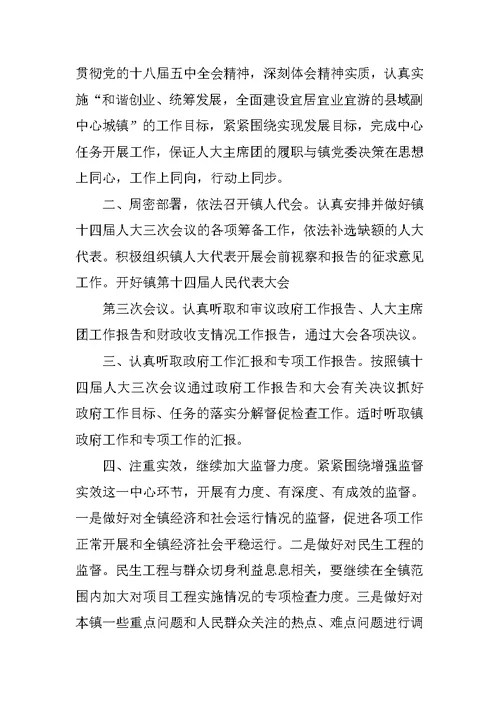 乡镇人大工作总结3000字