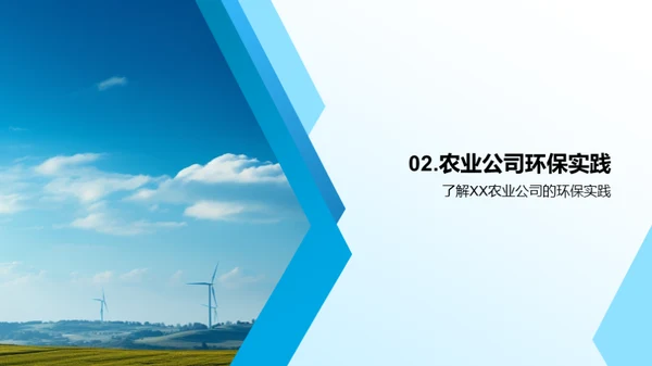 绿色之路：XX农业的环保探索
