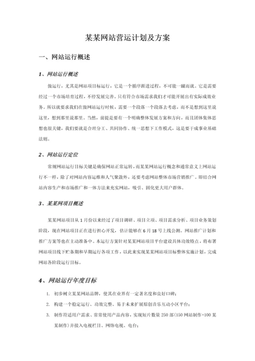 网站运营推广专题计划及专项方案.docx