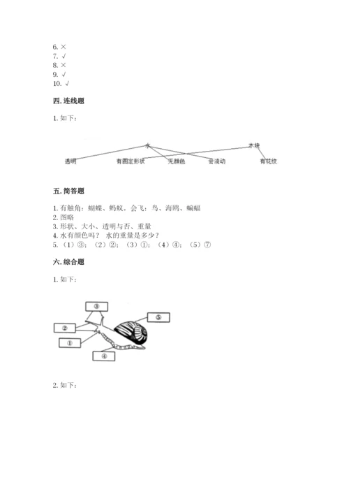 教科版一年级下册科学期末测试卷（考点梳理）.docx