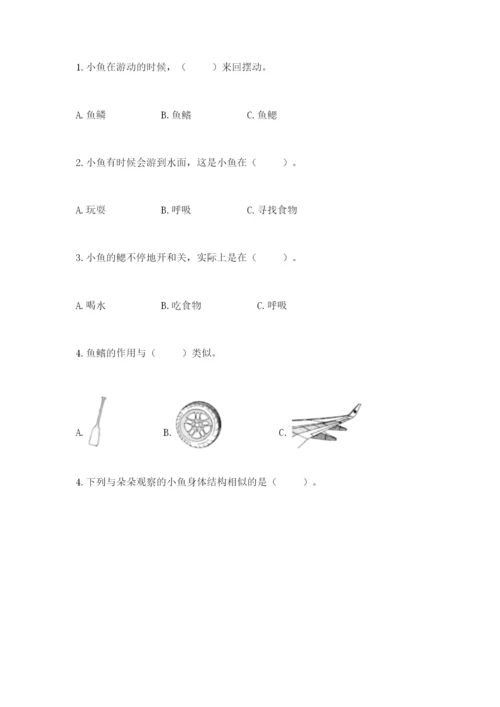 教科版小学科学一年级下册期末测试卷及答案【历年真题】.docx