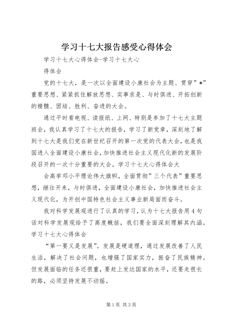 学习十七大报告感受心得体会 (2).docx