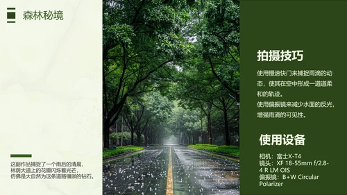 绿色简约风摄影师个人作品集PPT模板