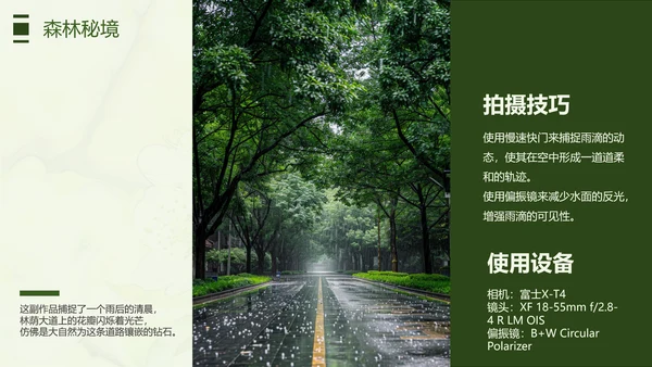 绿色简约风摄影师个人作品集PPT模板