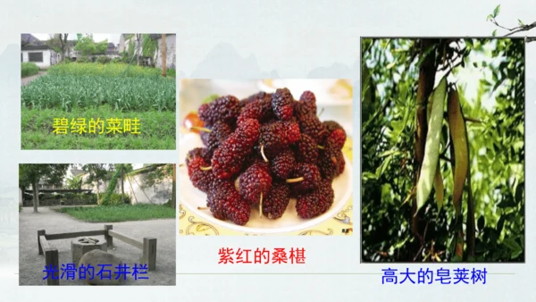 9《从百草园到三味书屋》课件(共33张PPT)2024-2025学年统编版语文七年级上册