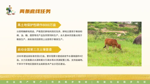 中央一号文件乡村振兴三农问题PPT模板