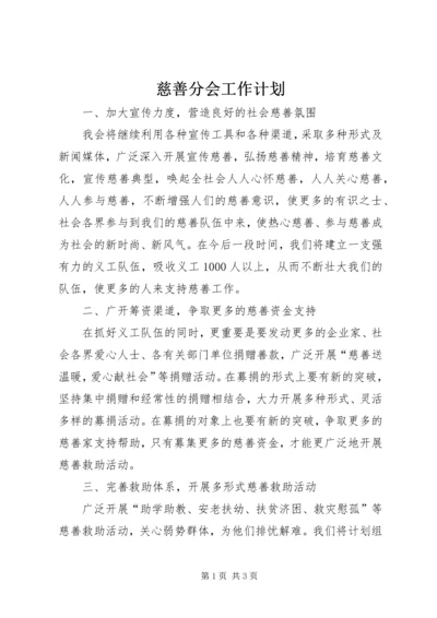 慈善分会工作计划.docx