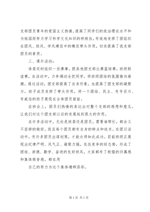 团支部工作自评报告.docx