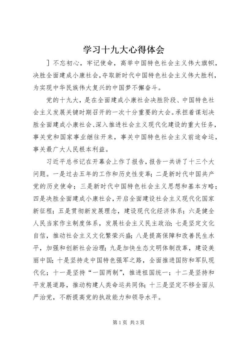 学习十九大心得体会 (31).docx