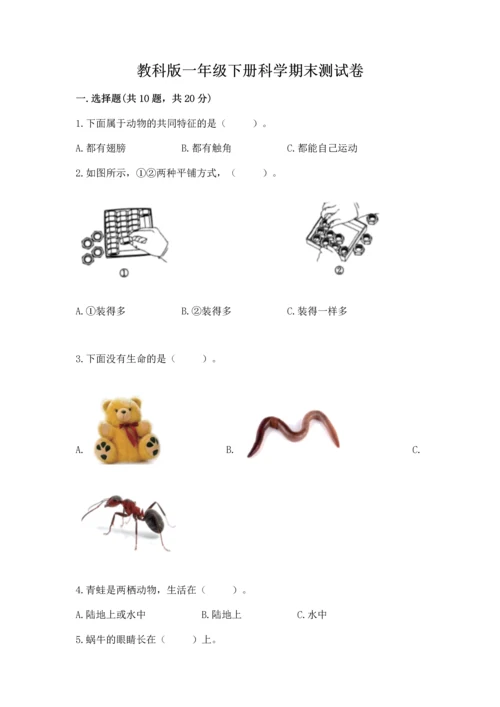 教科版一年级下册科学期末测试卷各版本.docx