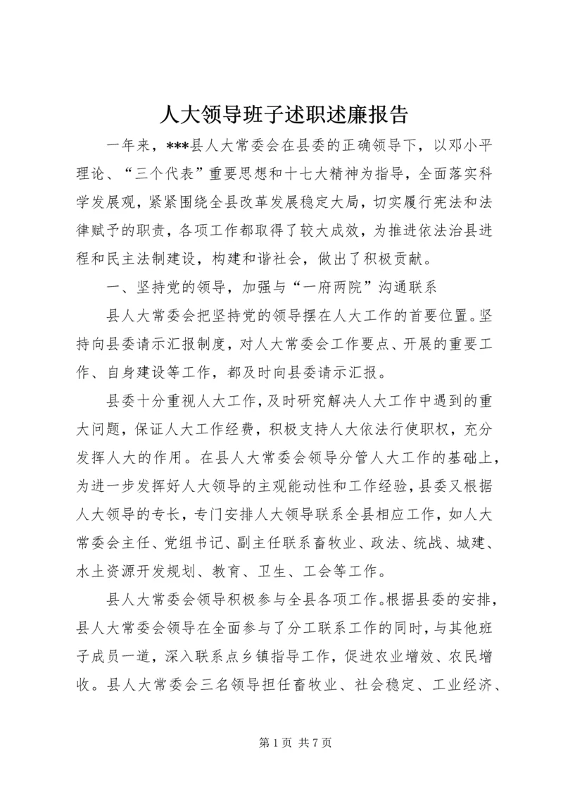 人大领导班子述职述廉报告精编.docx