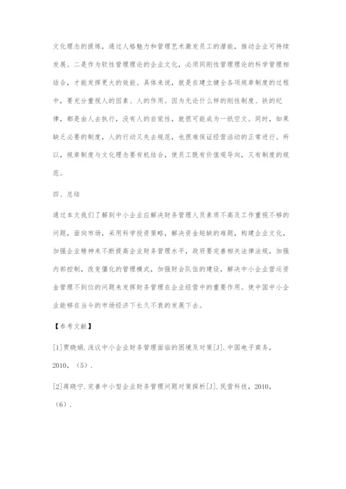 中小企业财务管理存在的问题以及对策.docx