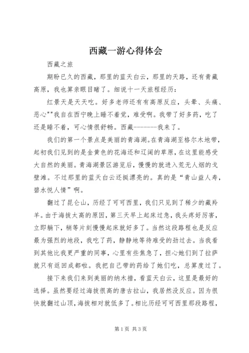 西藏一游心得体会 (3).docx