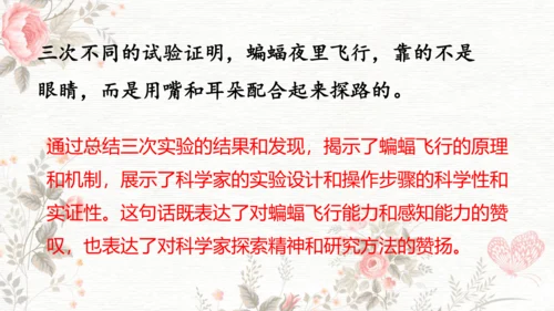 6夜间飞行的秘密  课件