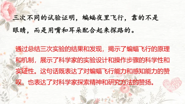 6夜间飞行的秘密  课件