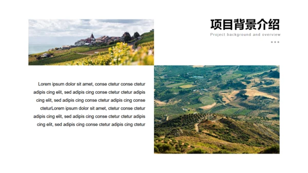 美丽乡村旅游项目乡村旅游通用PPT模板