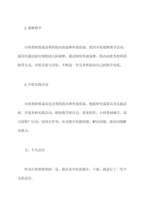 小班教研组个人总结