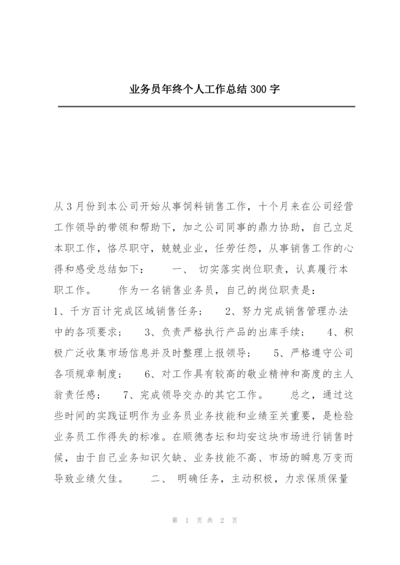 业务员年终个人工作总结300字.docx