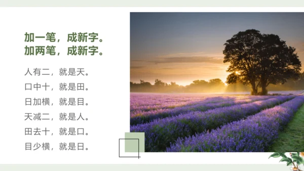 统编版语文一年级上册 第一单元 识字  语文园地一   课件
