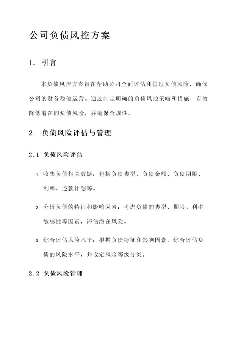 公司负债风控方案