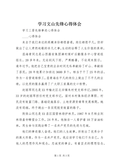 学习文山先锋心得体会 (2).docx