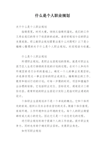 什么是个人职业规划.docx