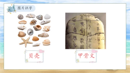 【核心素养】部编版语文二年级下册-识字3. “贝”的故事 第1课时（课件）