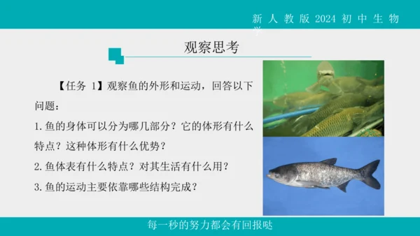 人教版生物七年级上册2.2.2《脊椎动物》（第1课时）课件(共42张PPT)+视频素材