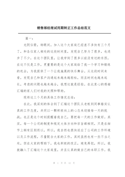 销售部经理试用期转正工作总结范文.docx