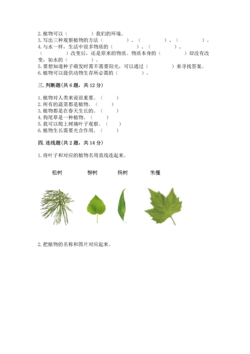 教科版科学一年级上册第一单元《植物》测试卷（b卷）.docx