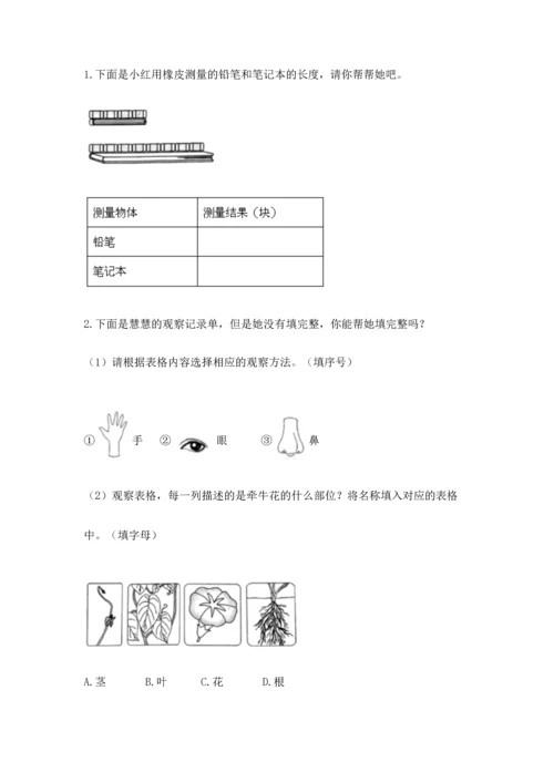 教科版一年级上册科学期末测试卷精品【巩固】.docx