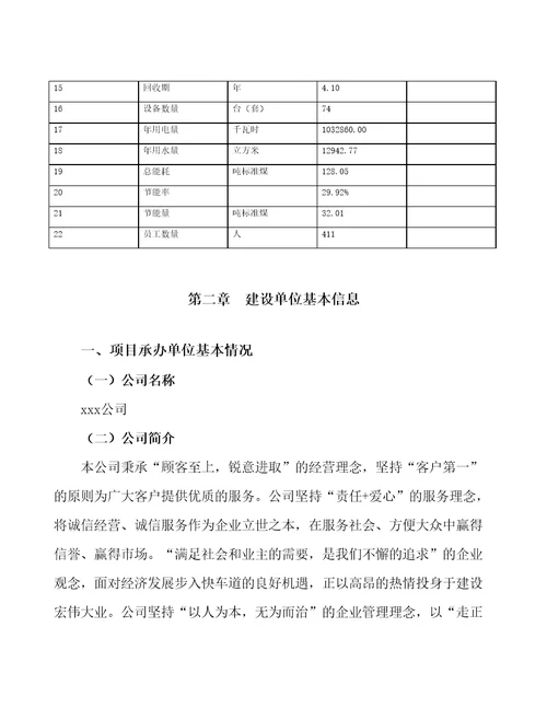 白城电声产品项目投资分析报告