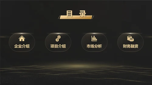 黑金质感项目战略商业计划书通用PPT模板