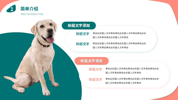 宠物店猫狗饲养心得经验分享通用PPT模板