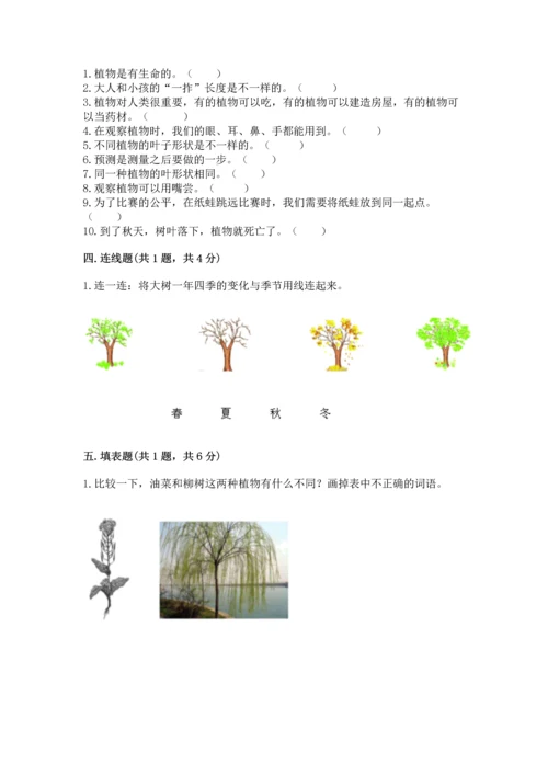 教科版一年级上册科学期末测试卷含完整答案【网校专用】.docx