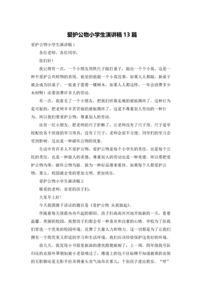 爱护公物小学生演讲稿13篇.docx
