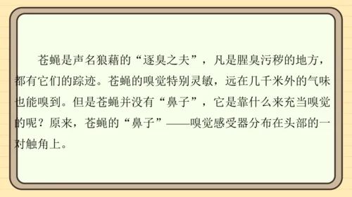 统编版语文四年级上册主题八　科技展望 阅读与写作指导课件