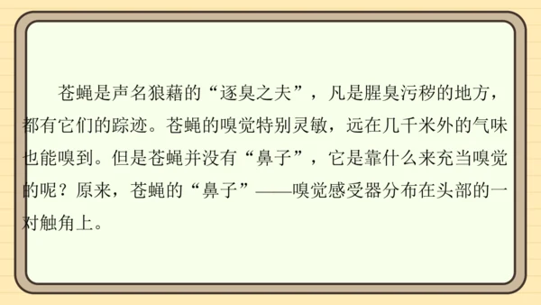 统编版语文四年级上册主题八　科技展望 阅读与写作指导课件