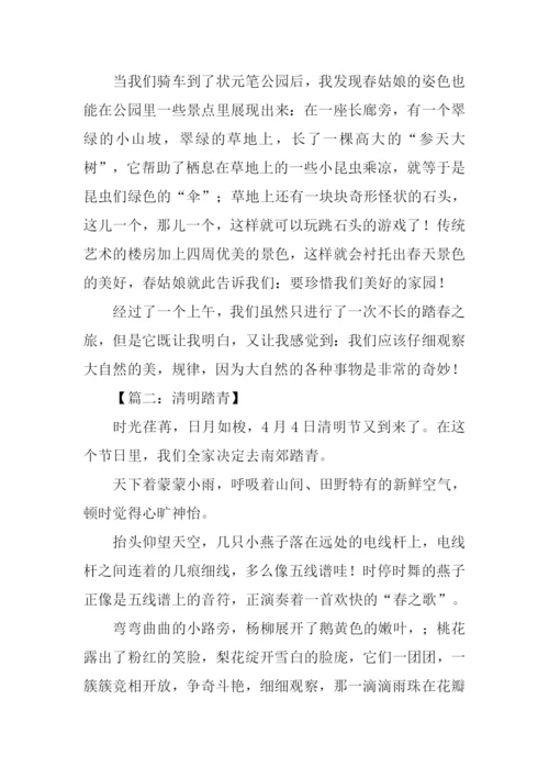 关于踏青的作文.docx