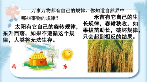 22.小毛虫（第二课时）教学课件