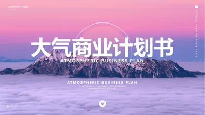 紫色大气商业计划书PPT模板