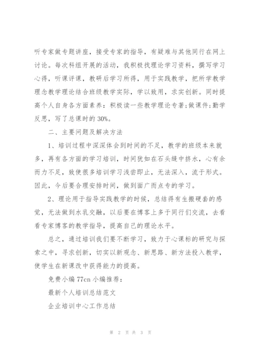 教师个人培训总结范文.docx