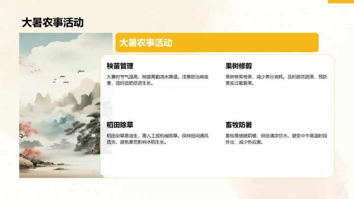 二十四节气大暑PPT模板