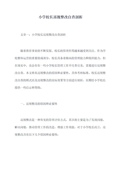小学校长巡视整改自查剖析