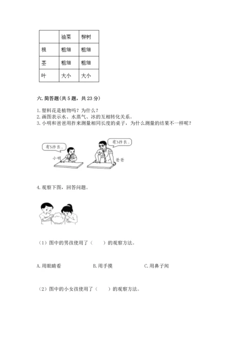 教科版一年级上册科学期末测试卷精品（黄金题型）.docx