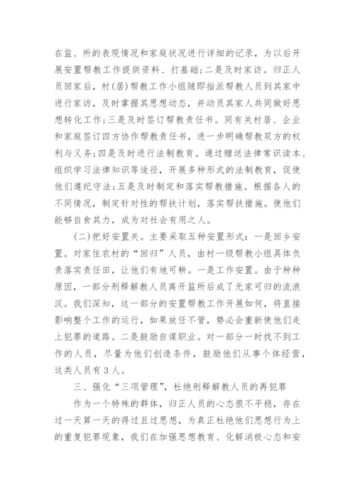 安置帮教工作总结.docx