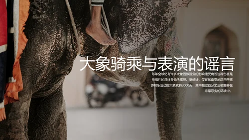 保护野生动物大象PPT模板