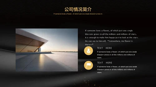 黑金奢华高端房地产商业计划书通用PPT模板